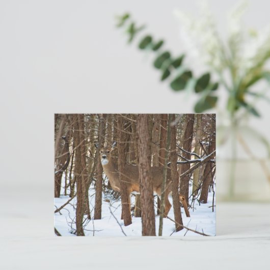 Hirsche im Wald im Winter Postkarte (Stehend Vorderseite)