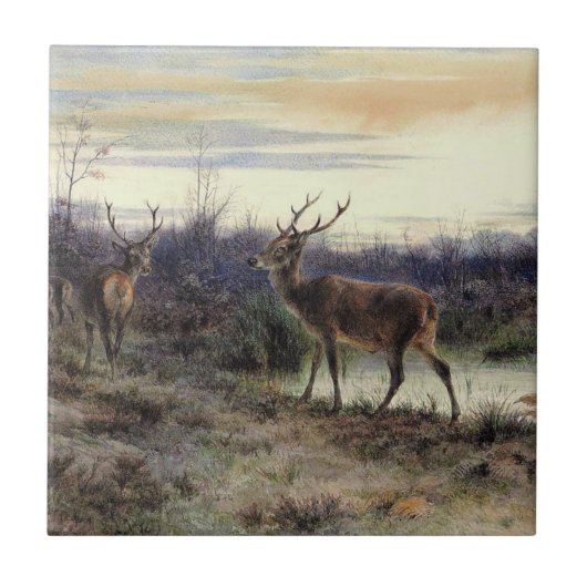 Hirsche im Wald in Fontainebleau (Rosa Bonheur) Fliese (Vorderseite)