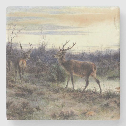 Hirsche im Wald in Fontainebleau (Rosa Bonheur) Steinuntersetzer (Vorderseite)