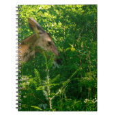 Hirsche im Wald. Notizblock (Vorderseite)