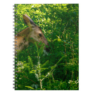 Hirsche im Wald. Notizblock