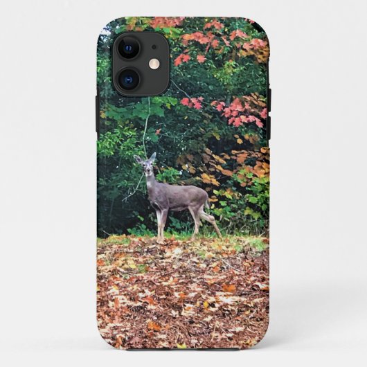 Hirsche im Wald, Oregon Case-Mate iPhone Hülle (Rückseite)