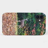 Hirsche im Wald, Oregon Case-Mate iPhone Hülle (Rückseite (Horizontal))