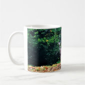 Hirsche im Wald, Oregon Kaffeetasse (Links)