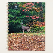 Hirsche im Wald, Oregon Planer (Vorderseite)