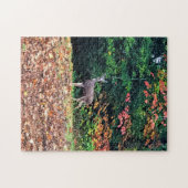 Hirsche im Wald, Oregon Puzzle (Horizontal)