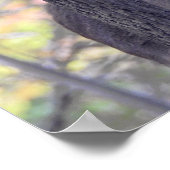 Hirsche im Wald Poster (Ecke)