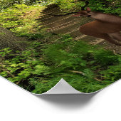 Hirsche im Wald. Poster (Ecke)