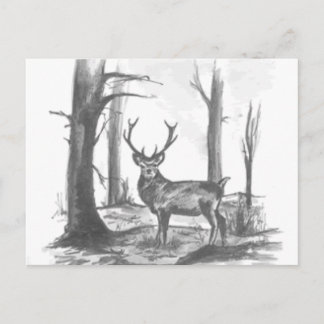 Hirsche im Wald Postkarte