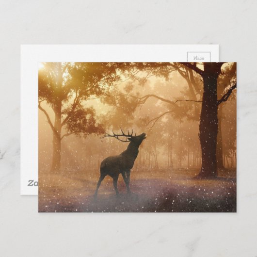 Hirsche im Wald Postkarte (Vorne/Hinten)
