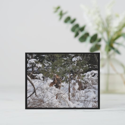 Hirsche im Wald Postkarte (Stehend Vorderseite)