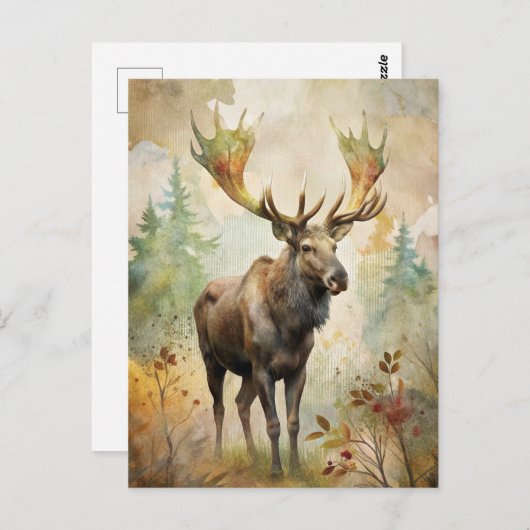 Hirsche im Wald Postkarte (Vorne/Hinten)