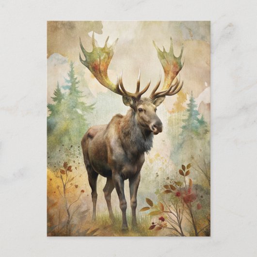 Hirsche im Wald Postkarte (Vorderseite)