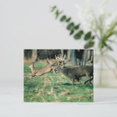 Hirsche im Wald Postkarte (Stehend Vorderseite)