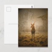 Hirsche im Wald Postkarte (Vorne/Hinten)