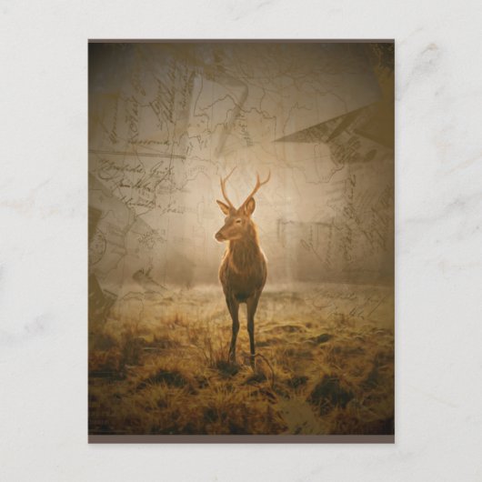 Hirsche im Wald Postkarte (Vorderseite)