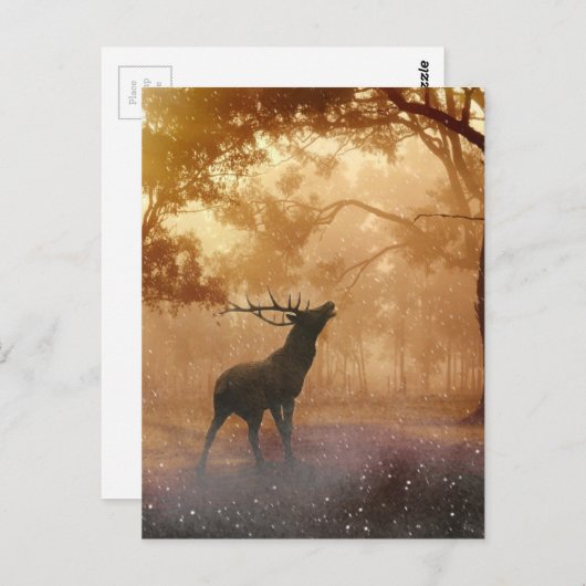 Hirsche im Wald Postkarte (Vorne/Hinten)