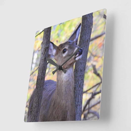 Hirsche im Wald Quadratische Wanduhr (Winkel)