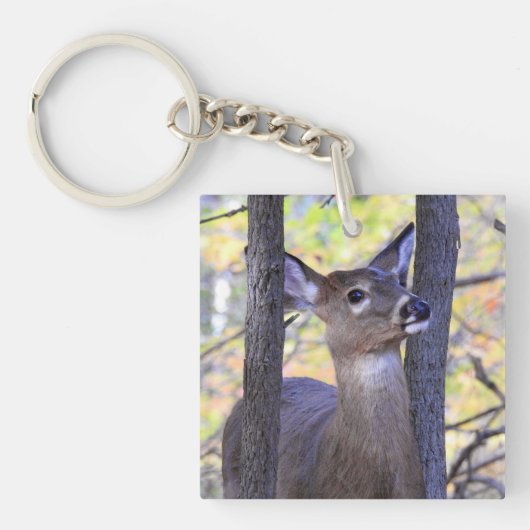 Hirsche im Wald Schlüsselanhänger (Vorderseite)