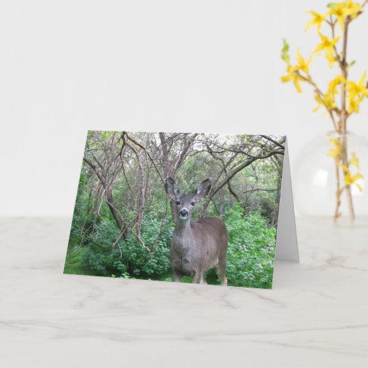 Hirsche im Wald werden bald gut. Karte (Gelbe Blume)