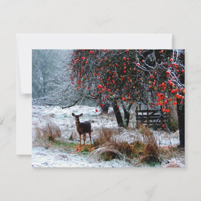Hirsche im Winter (Vorderseite)