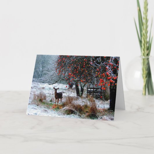 Hirsche im Winter Feiertagskarte (Vorderseite)