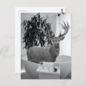 Hirsche in der Badewanne Schwarz-weißes Badezimmer Postkarte (Vorne/Hinten)