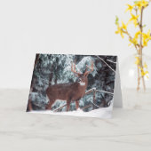 Hirsche in der Schneekarte Karte (Gelbe Blume)