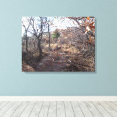 Hirsche in der Woods Canvas Print Leinwanddruck (Insitu (Holzboden))