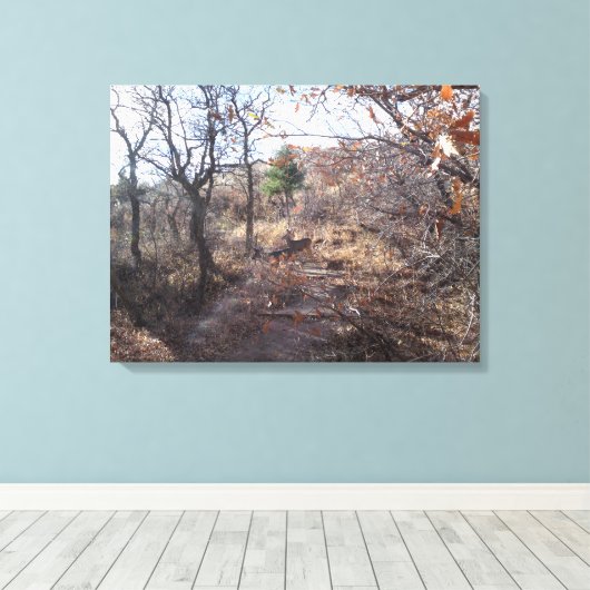 Hirsche in der Woods Canvas Print Leinwanddruck (Insitu (Holzboden))