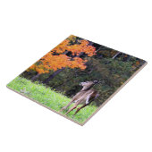 Hirsche in einem Herbstfeld II Fliese (Seite)