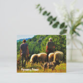 Hirsche in Frankreich Postkarte (Stehend Vorderseite)