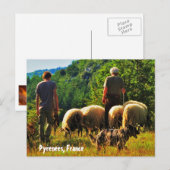 Hirsche in Frankreich Postkarte (Vorne/Hinten)