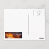 Hirsche in Frankreich Postkarte (Rückseite)