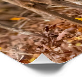 Hirsche in Holz Poster (Ecke)