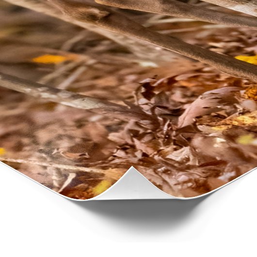 Hirsche in Holz Poster (Ecke)