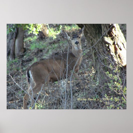 Hirsche in Holz - Wählen Sie Ihren Rahmen aus Poster (Vorne)