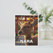 Hirsche in Nara Park Japan Travel Postkarte (Stehend Vorderseite)