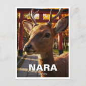 Hirsche in Nara Park Japan Travel Postkarte (Vorderseite)