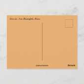 Hirsche in New Braunfels Texas Postkarte (Rückseite)