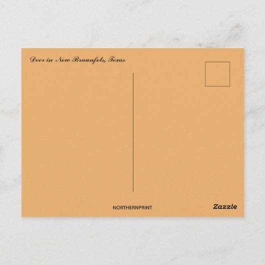 Hirsche in New Braunfels Texas Postkarte (Rückseite)