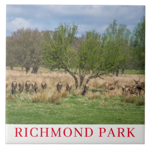Hirsche in Richmond Park London Keramik Fliese