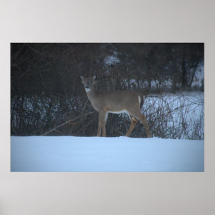 Hirsche in Schneeplakat Poster