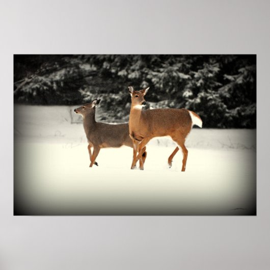 Hirsche in Schneeplakat Poster (Vorne)