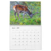 Hirsche in Schottland - Kalender (Mär 2027)