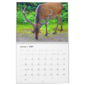 Hirsche in Schottland - Kalender (Jan 2027)