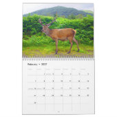 Hirsche in Schottland - Kalender (Feb 2027)