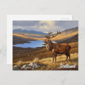 Hirsche in Schottland Travel Postkarte (Vorne/Hinten)