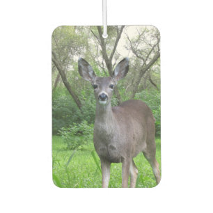 Hirsche in Woods Air Freshener Autolufterfrischer