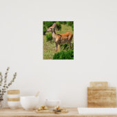 Hirsche, jagen den Vater im Sonnenlicht Poster (Küche)
